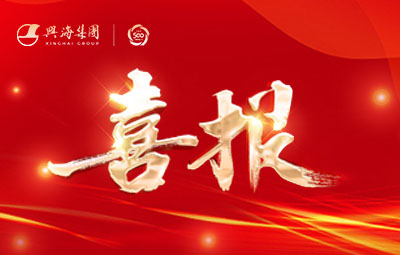 喜訊丨熱烈祝賀興海銅鋁業(yè)公司連續(xù)八度榮登中國(guó)民營(yíng)企業(yè)500強(qiáng)！
